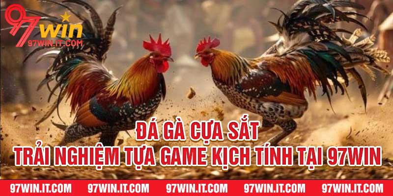Đá Gà Cựa Sắt