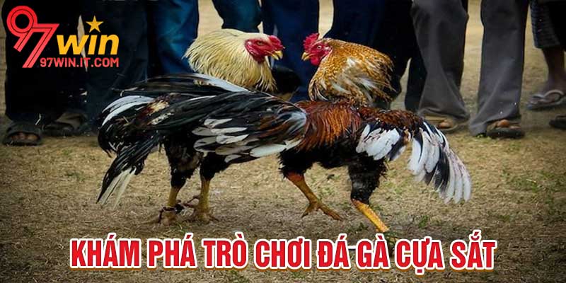 Đá Gà Cựa Sắt