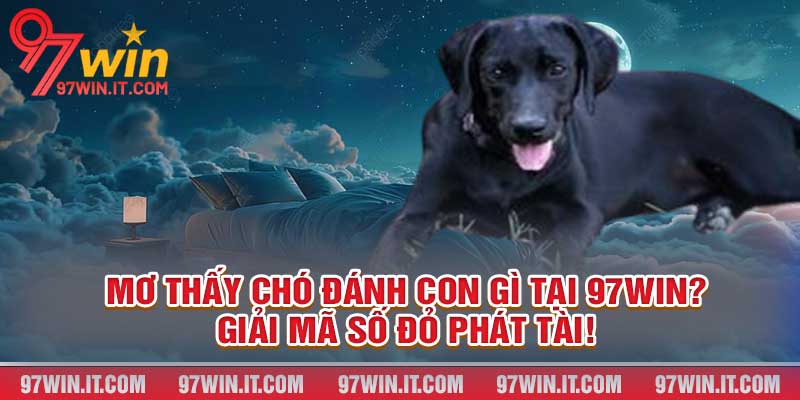 Mơ Thấy Chó Đánh Con Gì Tại 97win? Giải Mã Số Đỏ Phát Tài!